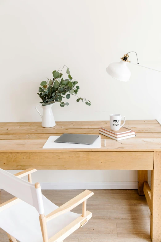 a modern table has a book, plant and laptop on it