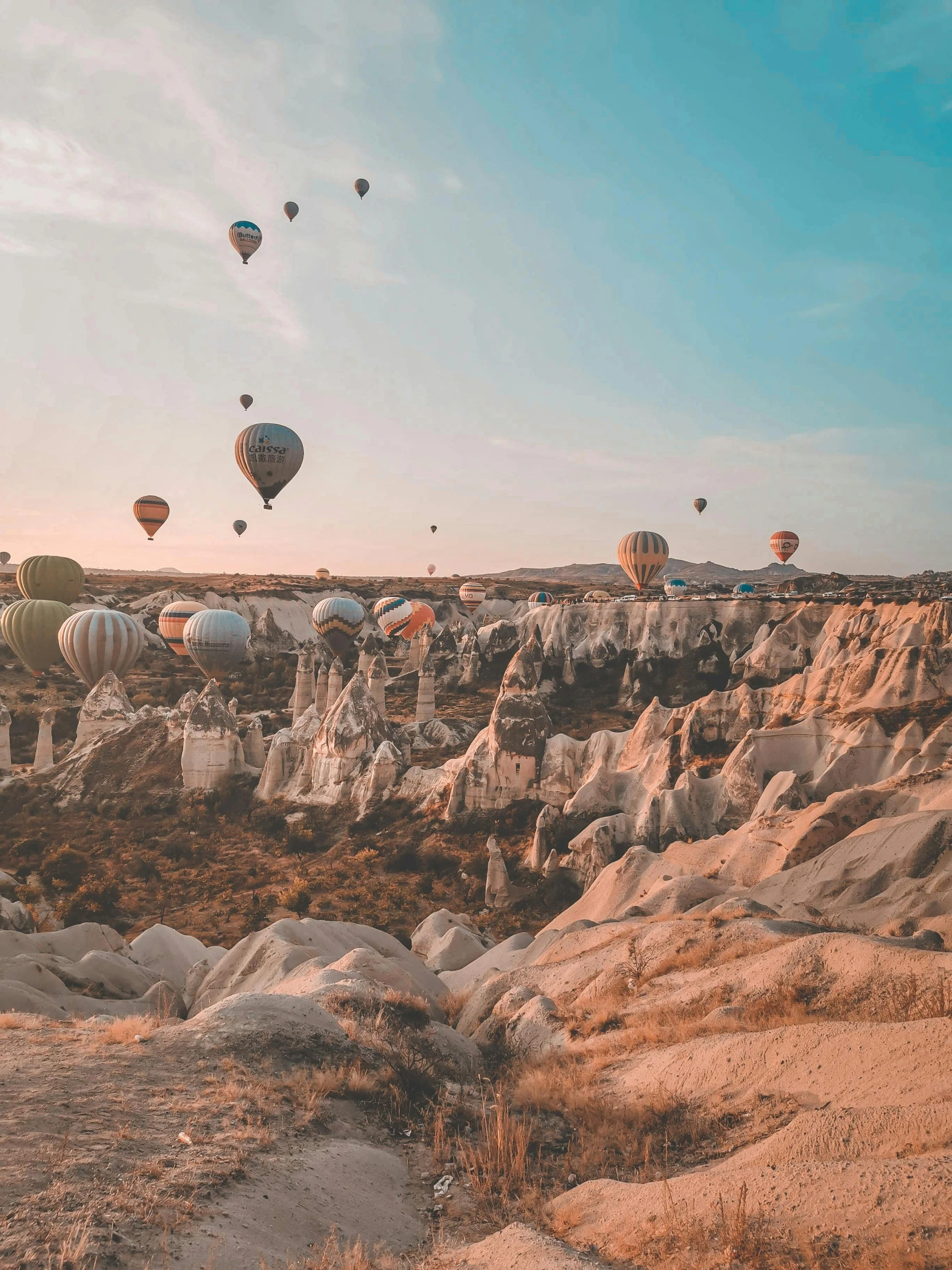 various  air balloons flying over the rocky terrain