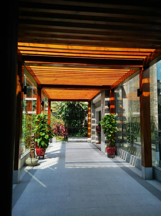 an image of outside covered walkway with plants