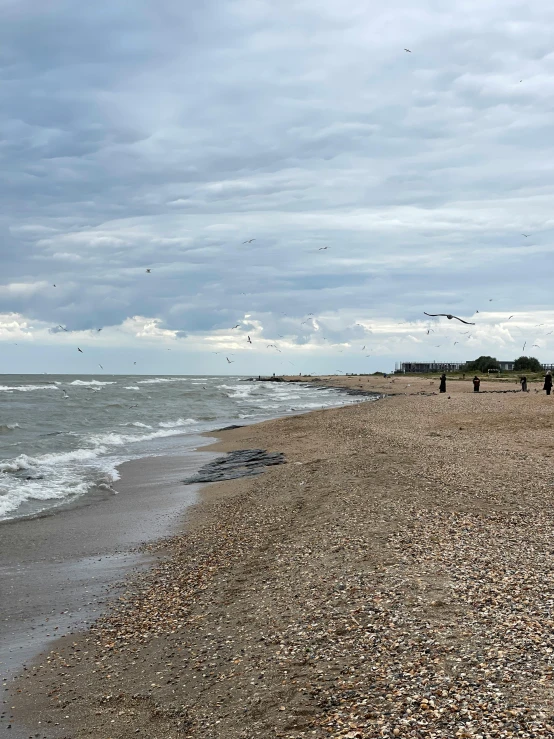 several people stand on the shore watching birds flying in the air