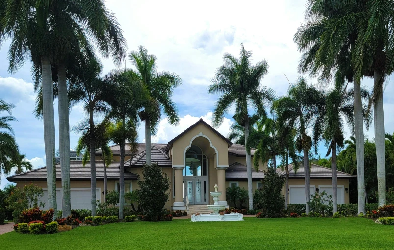 a large house in the middle of palm trees