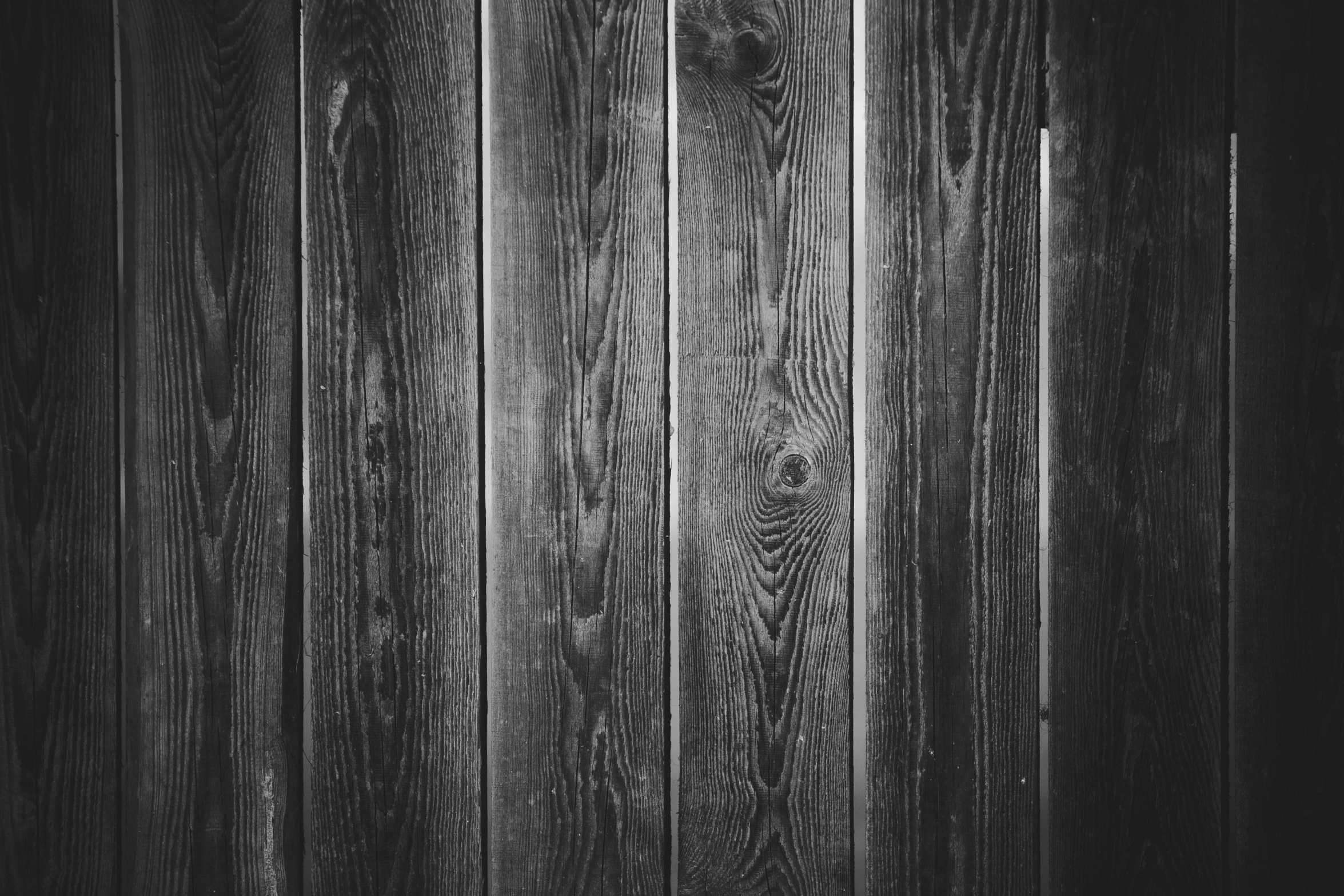 black and white po of wood grain background