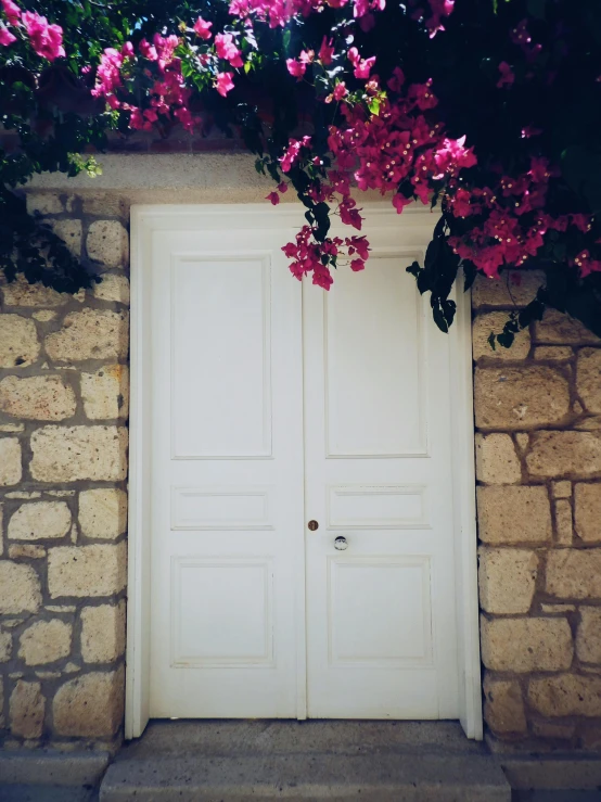 an open door to a building with flowers