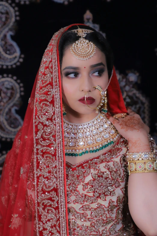 a woman with indian makeup poses in traditional clothes