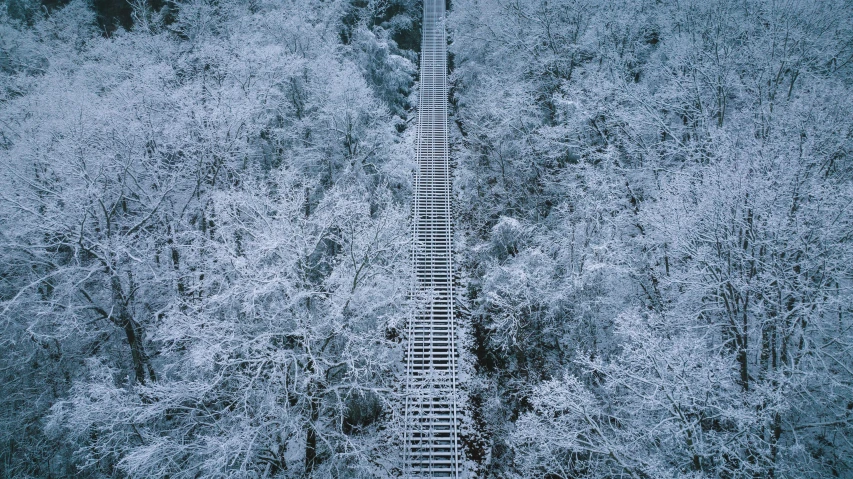 a wooden platform with steps leading through a snowy woods