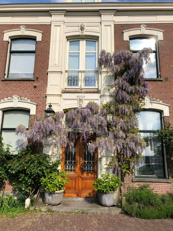 front of large building with flowering plants on side