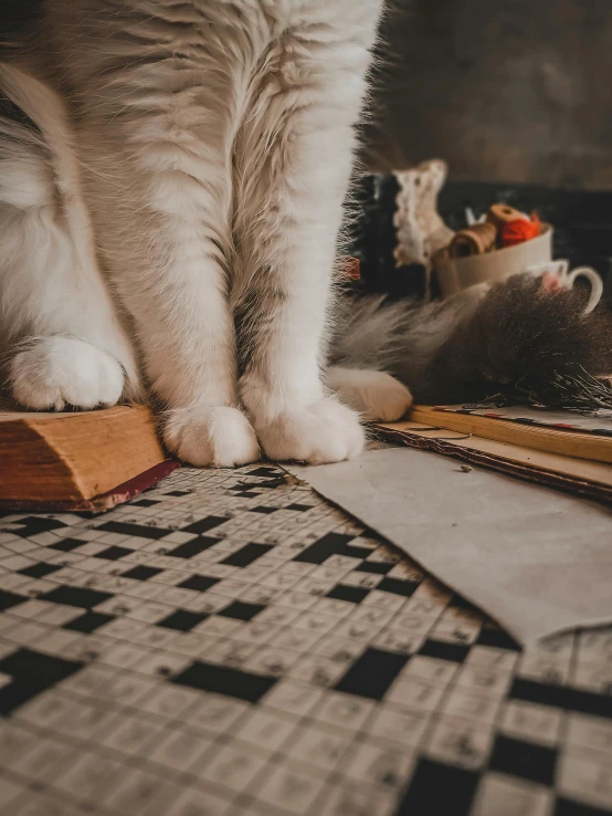 a cat with its paws on an open book