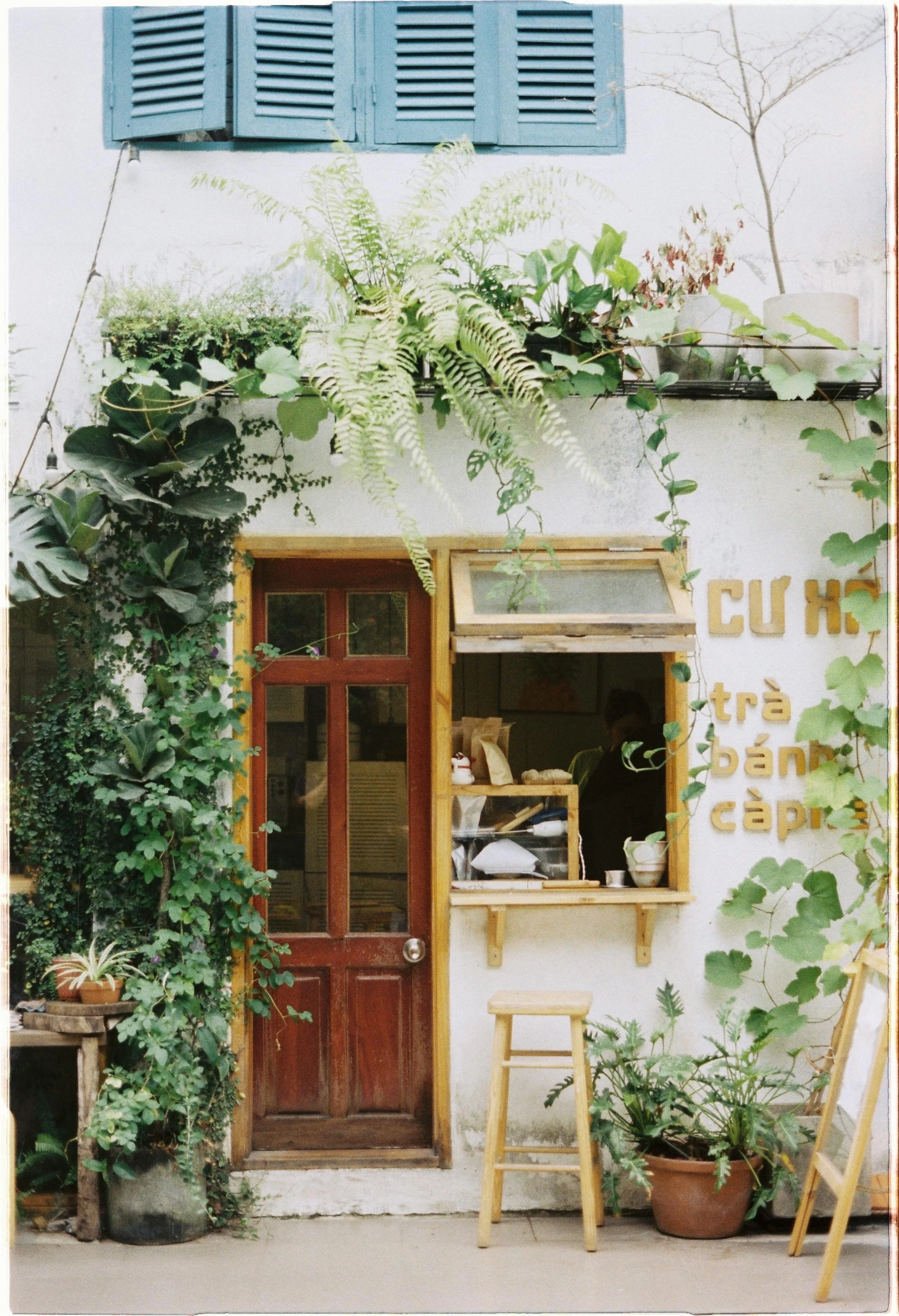 an assortment of plants and pots on a window sill outside of a building