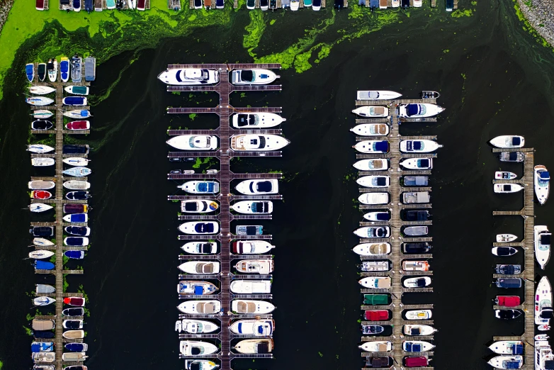 several boats are docked in the marina