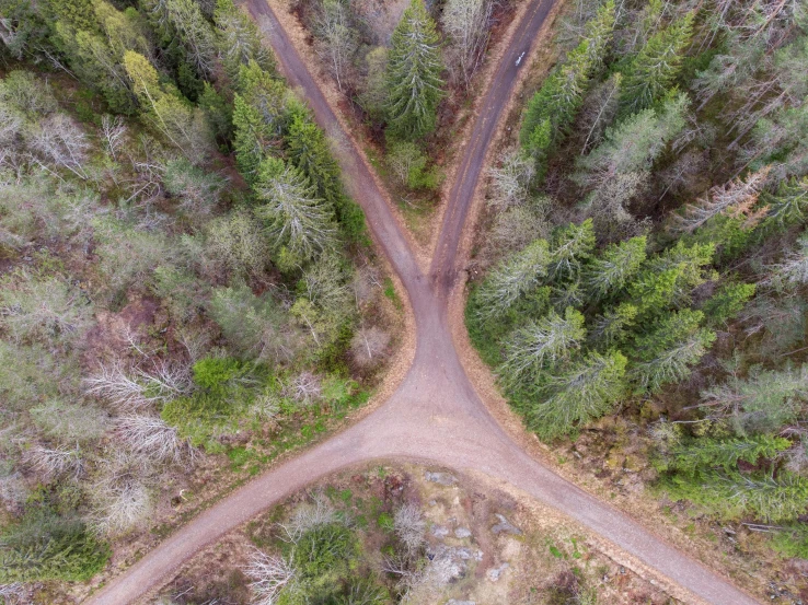 an overhead view of a dirt road through the woods