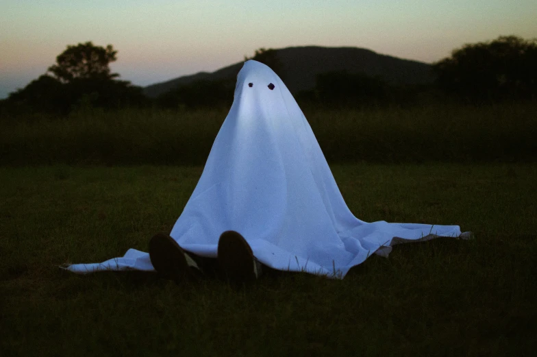 a ghost sitting in the grass with it's eyes closed