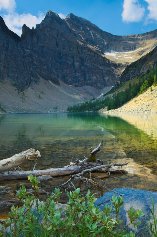 a mountain lake with a fallen log in the foreground