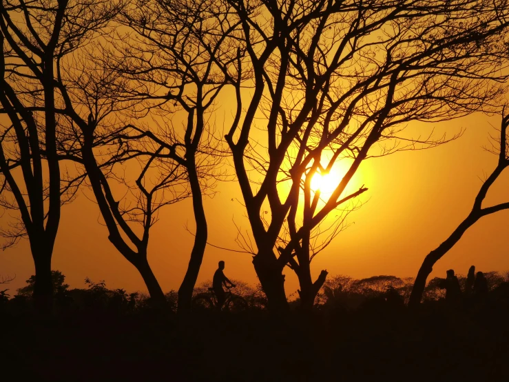 the sun is shining behind trees in the distance