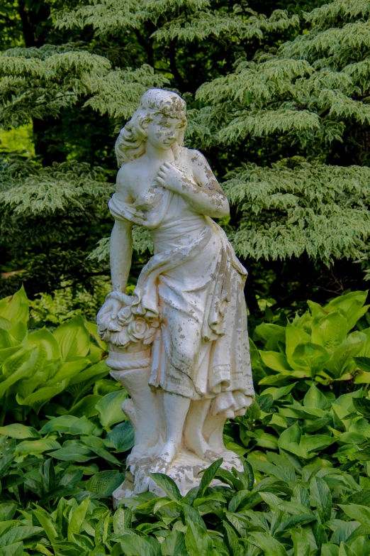 a statue is surrounded by plants in the yard
