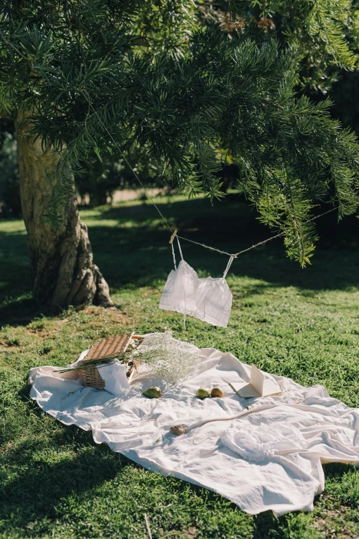 some towels a bed and a tree in the grass