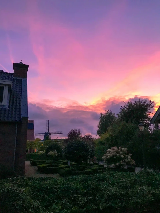 a pink and purple sunset over a green garden