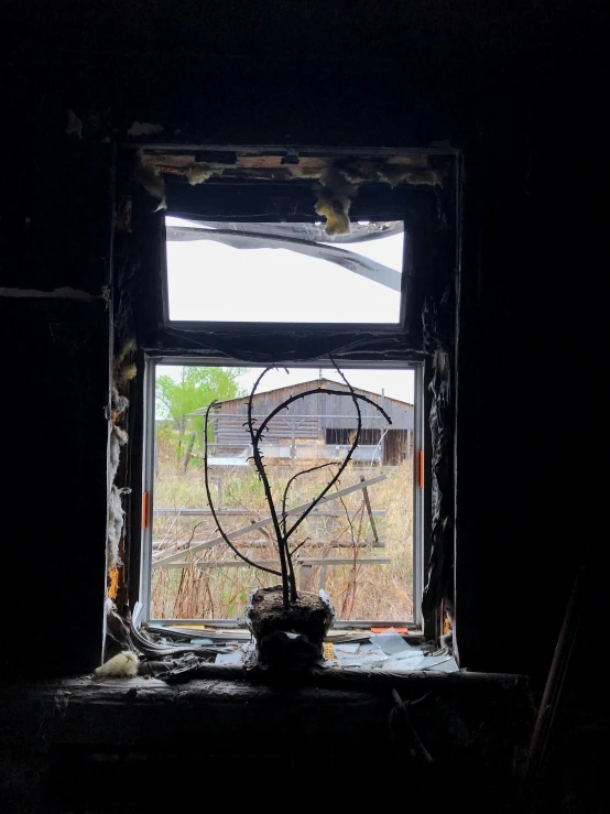 an open window in a house with a wire basket in front