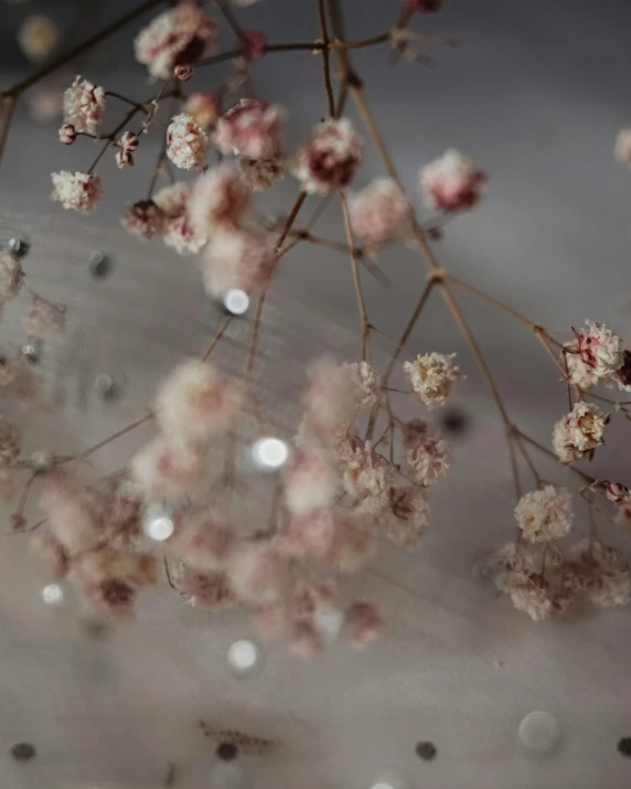 the small pink flowers are on the nch of the tree