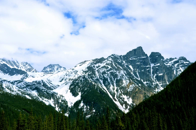 a large snow covered mountain with green trees in the foreground
