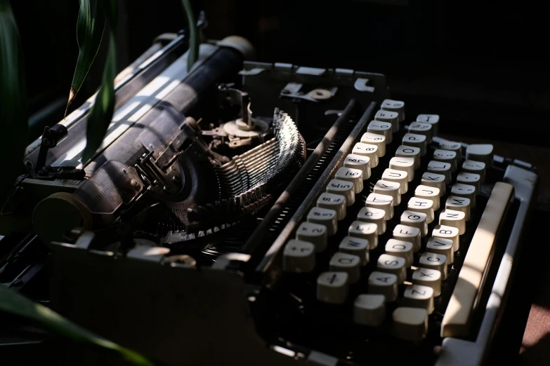 a vintage typewriter sitting on the floor next to a potted plant