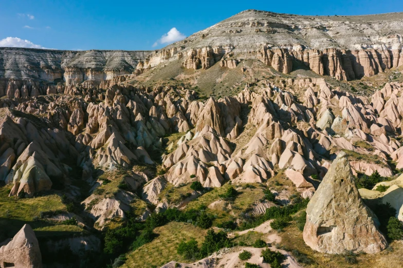 several rocks on a large mountain with a few green plants in the foreground