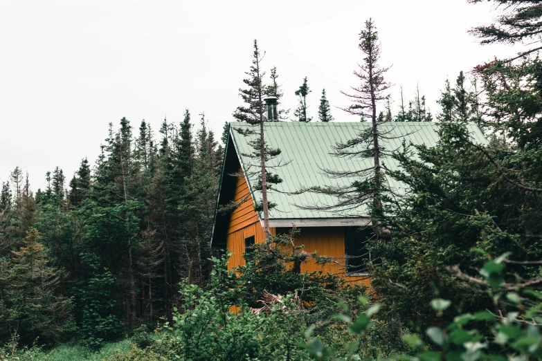 the cottage is on a small hill among the woods