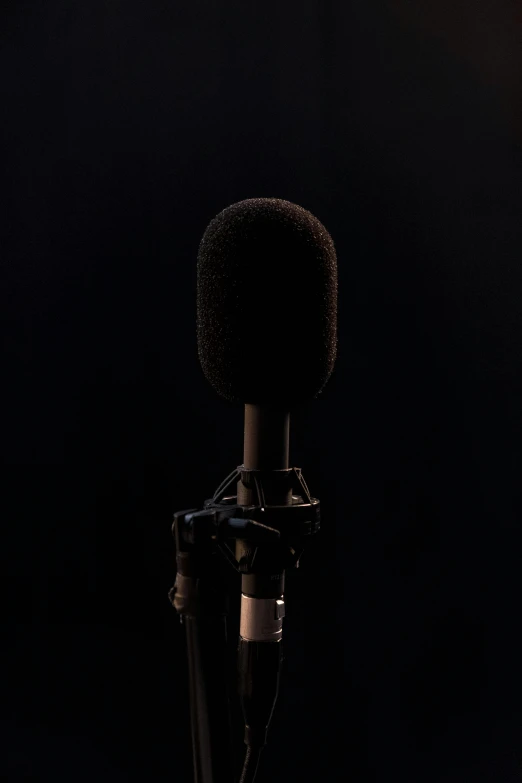 a microphone stand with a large black object next to it