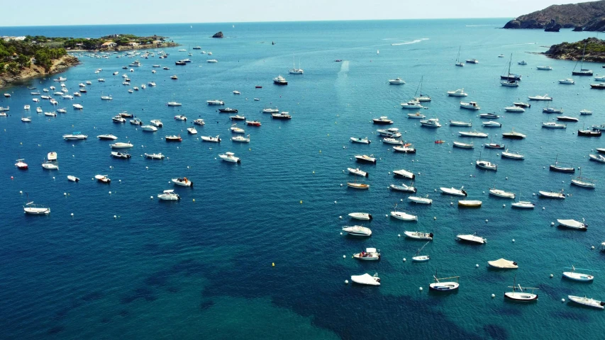 a number of boats in the water with sails