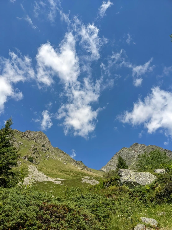 a mountain landscape with trees and rocks below it