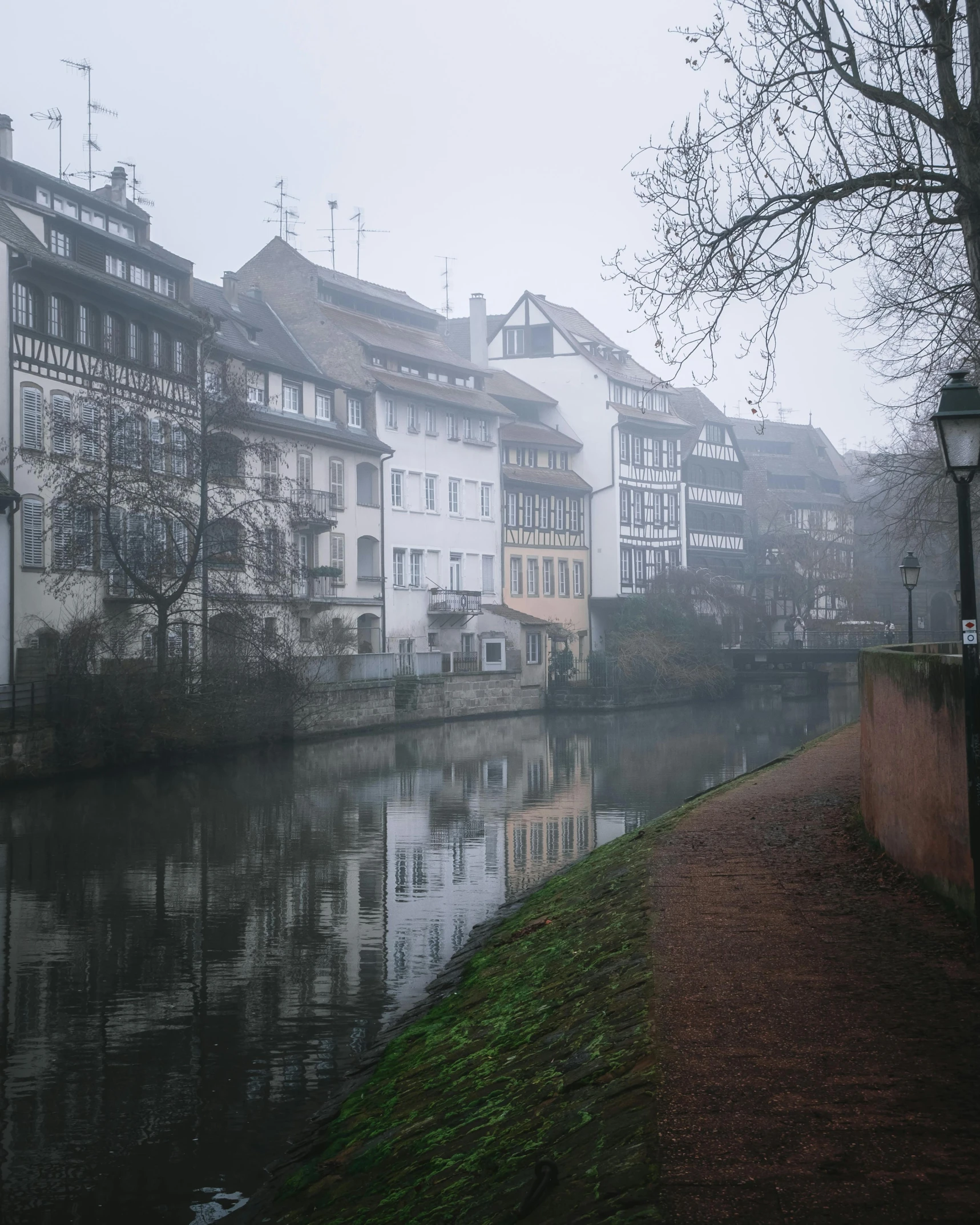 fog in a small river on a cloudy day