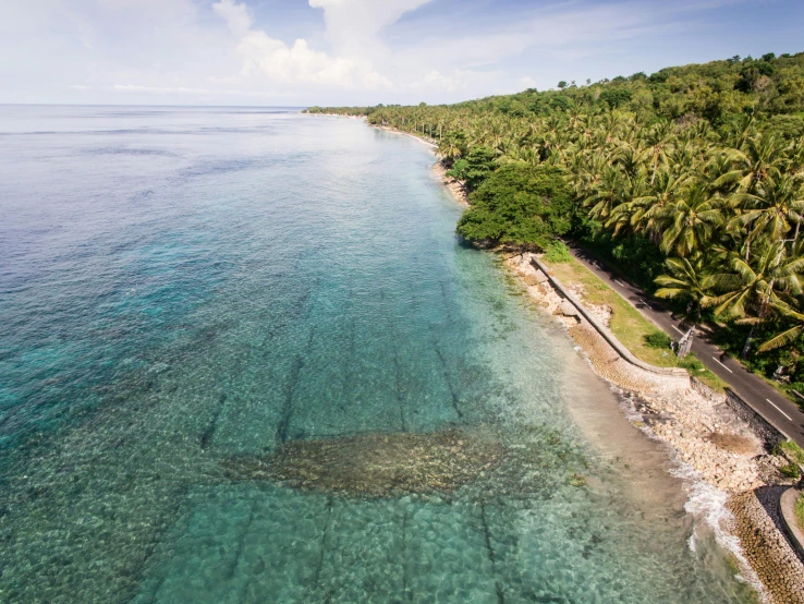 an aerial view of an island with trees and the ocean