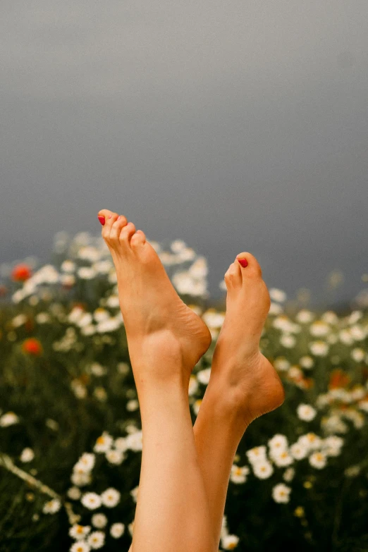 a person's feet are propped up in front of a field of flowers
