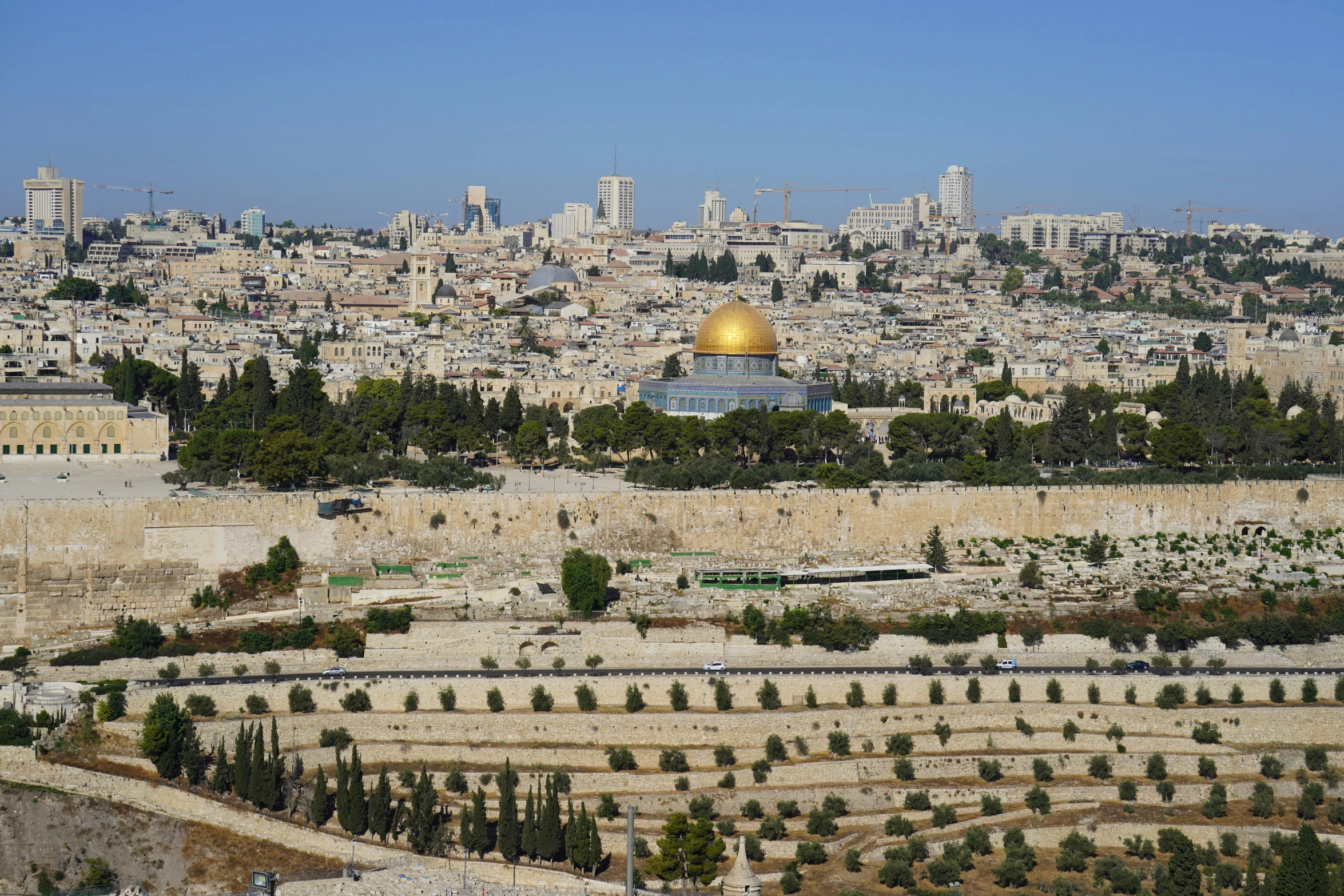 the city in the background is covered with tall buildings