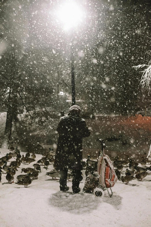 a couple of people in the snow near trees