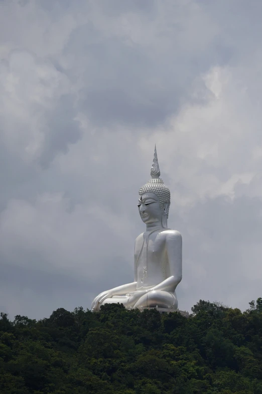 the large buddha statue on top of the hill is white