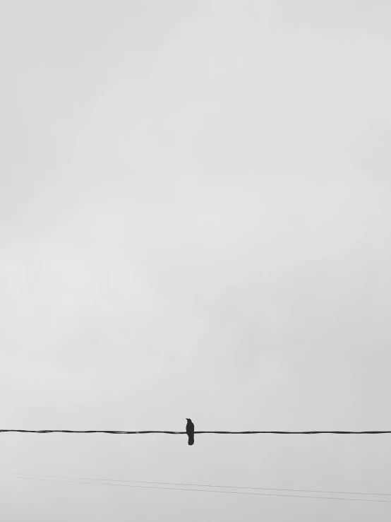 a bird on a wire in the sky