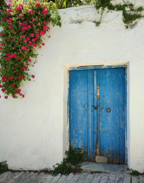 the door to a building is painted blue and has many flowers on it