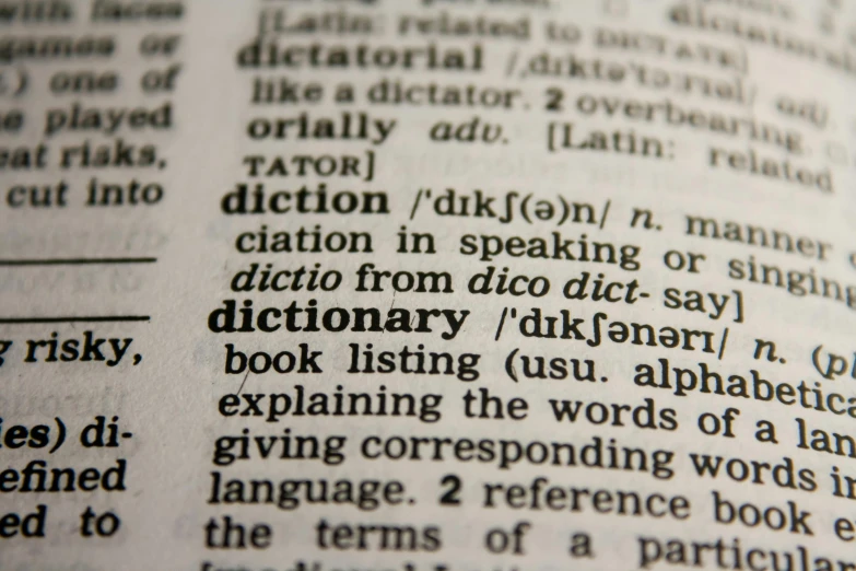 dictionary wording in a book