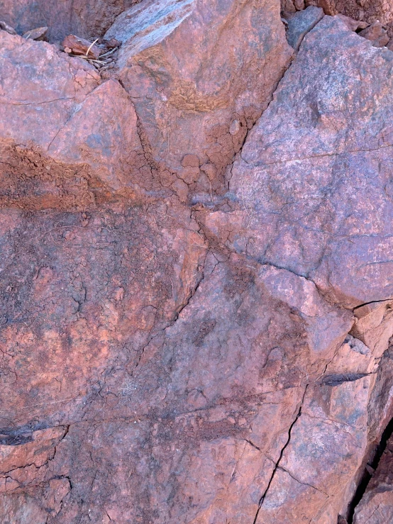 a cat laying on some rocks looking at the sky