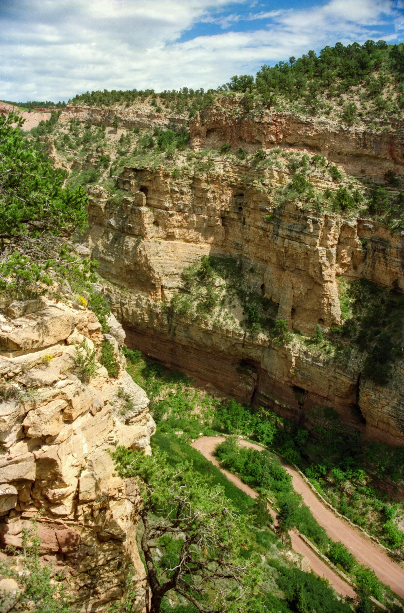 the view is of a rocky cliff with lots of vegetation