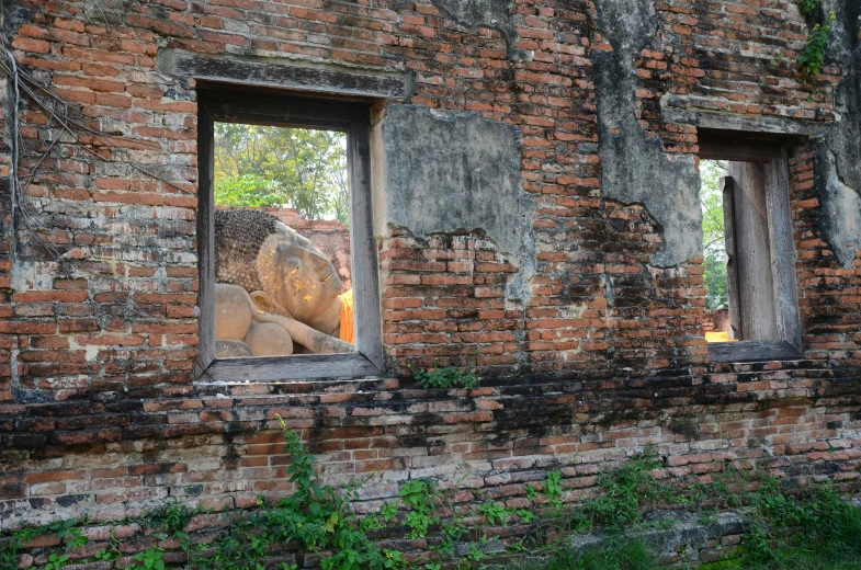 an elephant standing in the window of an old building