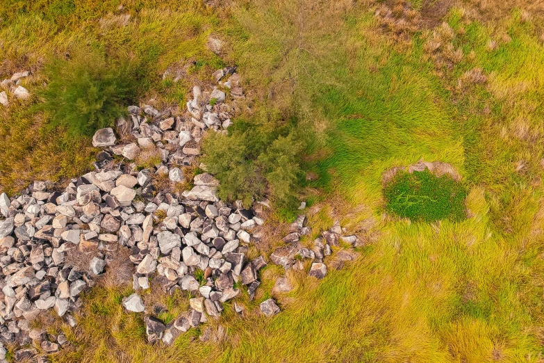 a field that has some rocks on the ground