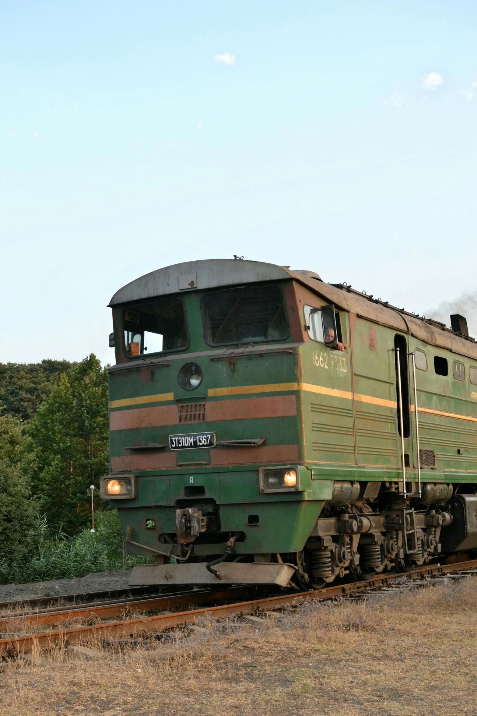 a green train traveling past a lush green forest