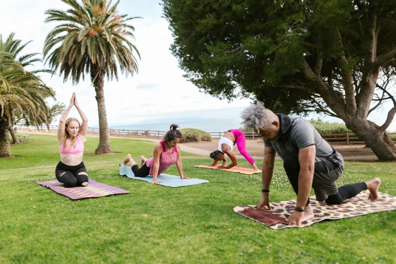 people doing stretching exercises in a park