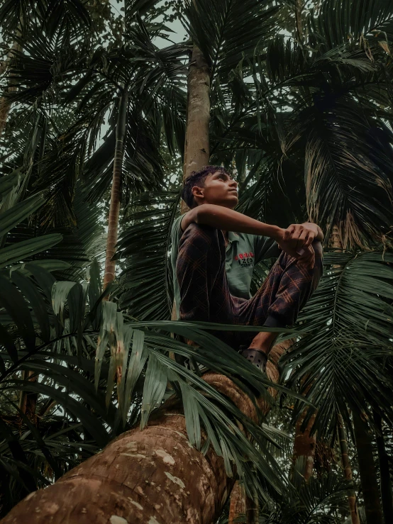 a man wearing a backpack standing on top of a palm tree