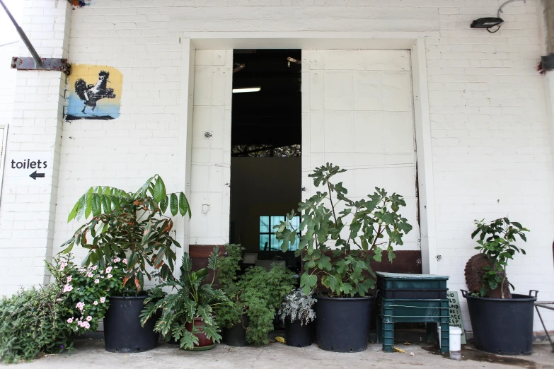 there is a white building with potted plants outside