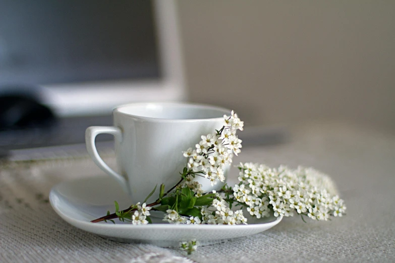 a small white plate with a cup on it and some flowers in the middle