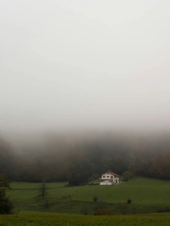 a large white house with trees in the background