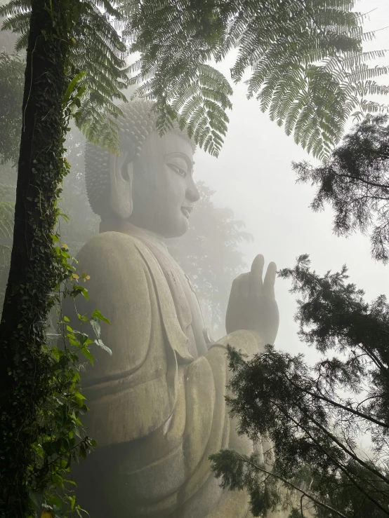 statue in the forest with thick green foliage