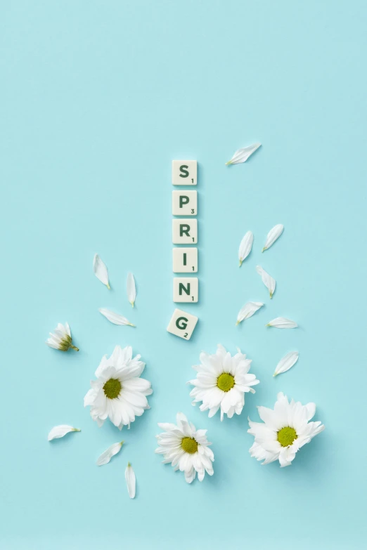 flowers and spelled spring blocks spelling out the word spring